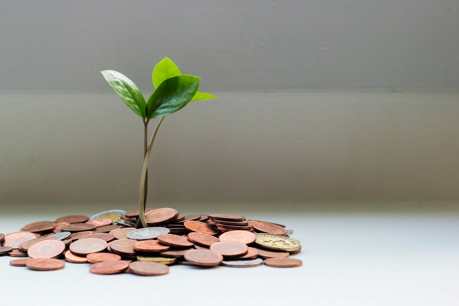 Payroll Management